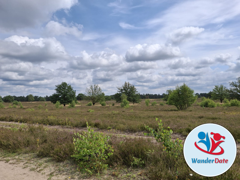 Lüneburger Heide