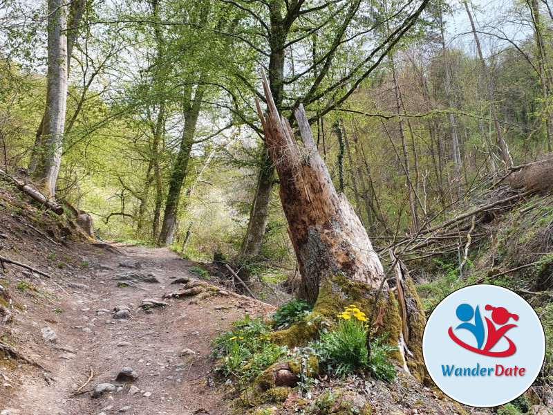 Rückersbacher Schlucht, Jahnfelsen und Teschenhöhle