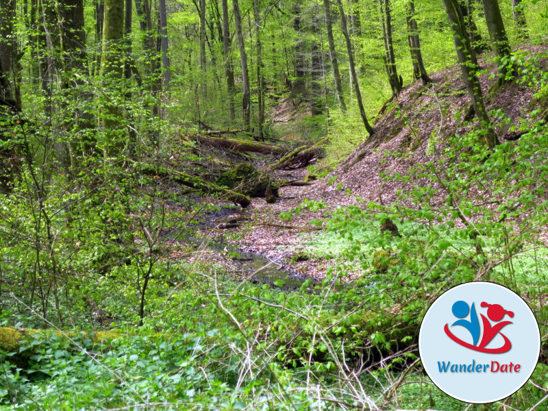 Rückersbacher Schlucht, Jahnfelsen und Teschenhöhle