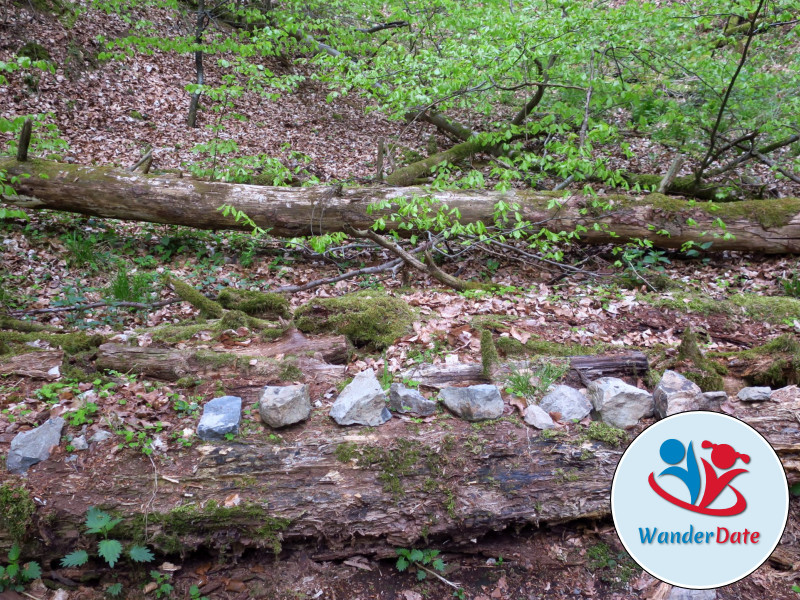 Rückersbacher Schlucht, Jahnfelsen und Teschenhöhle