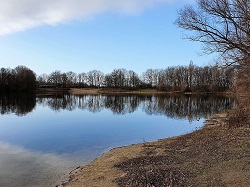 Erlensee  