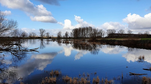 Erlensee  