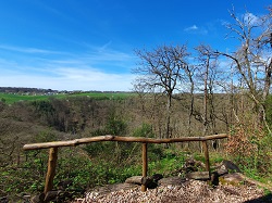 Schöner Blick  