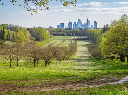 Kirdorfer Feld  