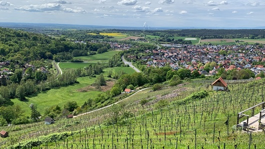 Michelbacher Apostelgarten  