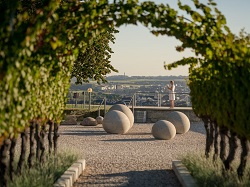 Weingut - KI Kunst  